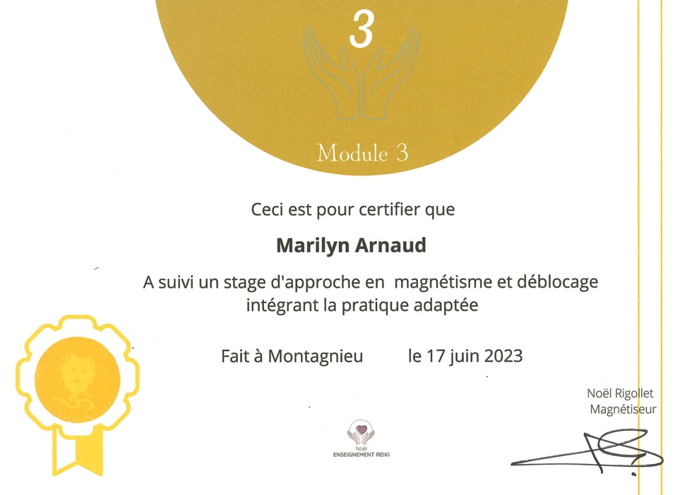 certificat magnetisme